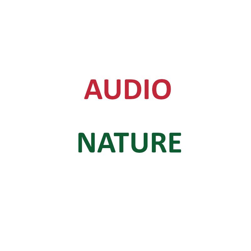 audio-nature-logo